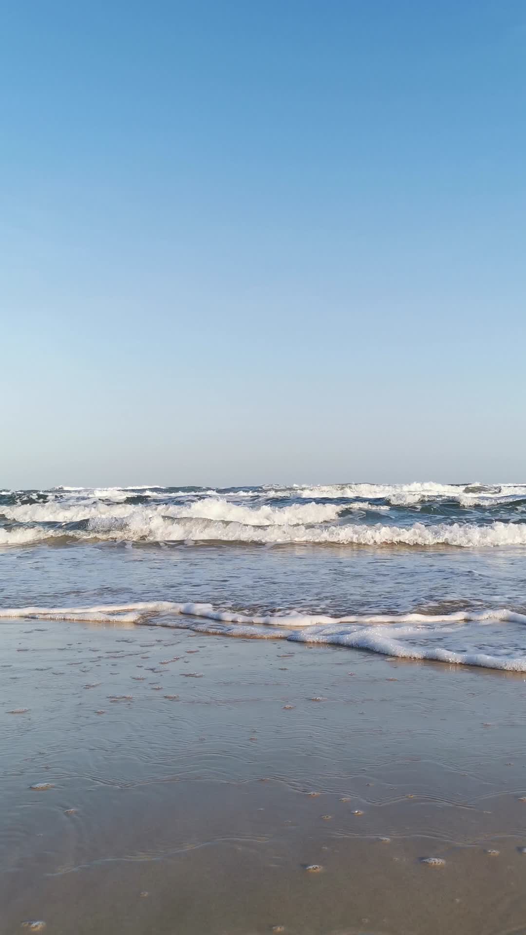 夕阳下的海浪w视频的预览图