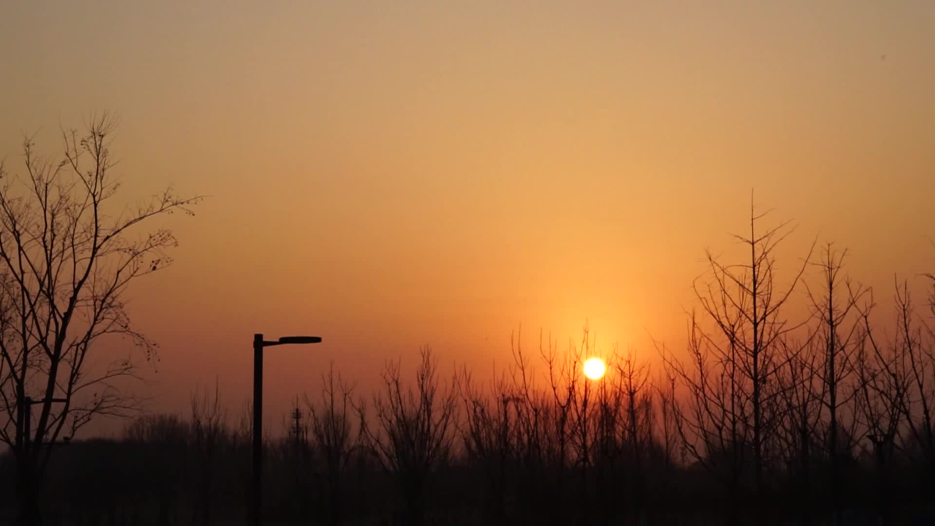 乡村日出冬天的太阳早晨清晨视频的预览图