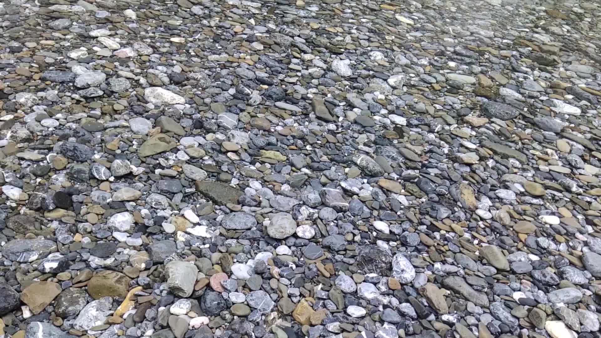 清澈见底的小溪水视频的预览图