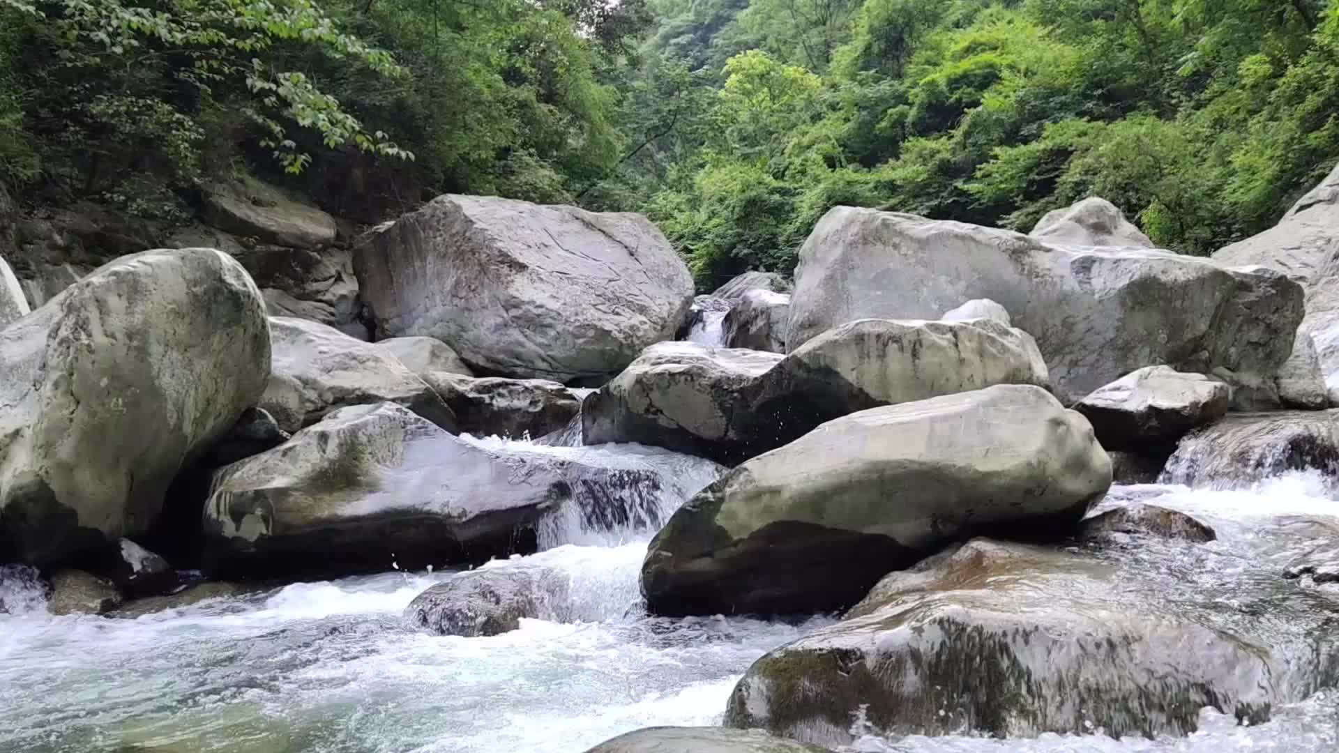 清澈见底的小溪水视频的预览图