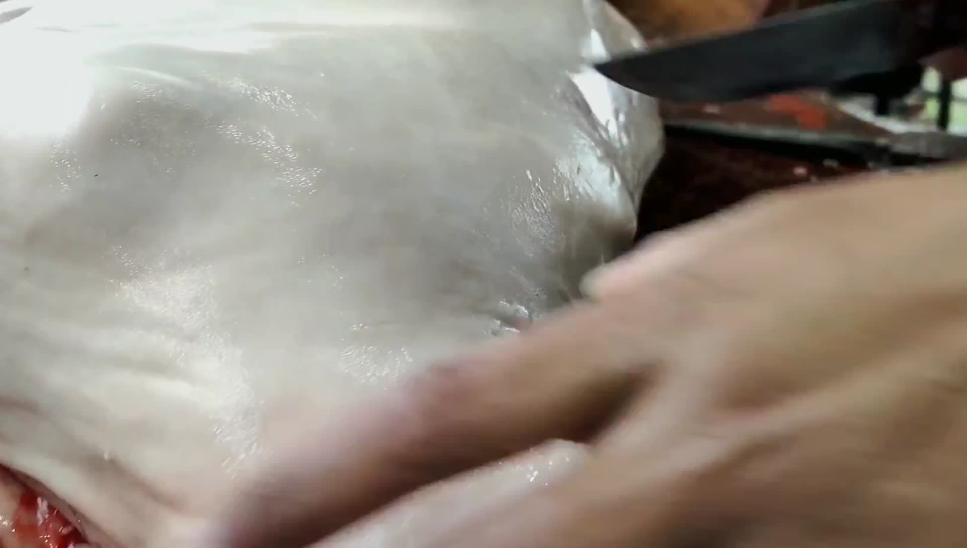 菜场羊肉分割羊肉肉制品实拍视频视频的预览图