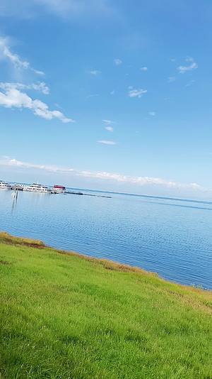 4K竖版青海湖景色视频的预览图