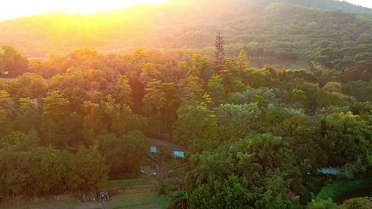 广州大夫山风景秋色航拍五颜六色广州景色大自然日出日落夕阳清晨逆光光线视频的预览图