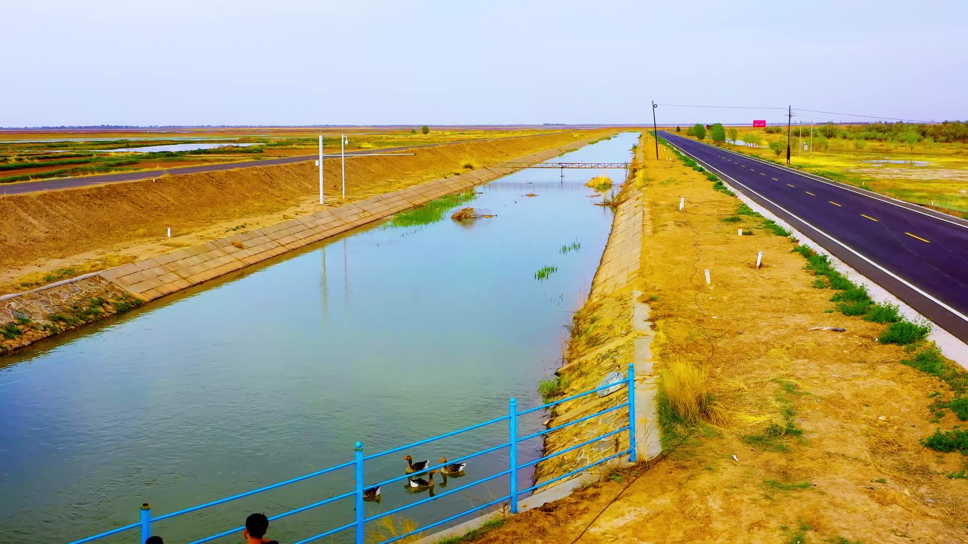 黄河灌溉水渠视频的预览图