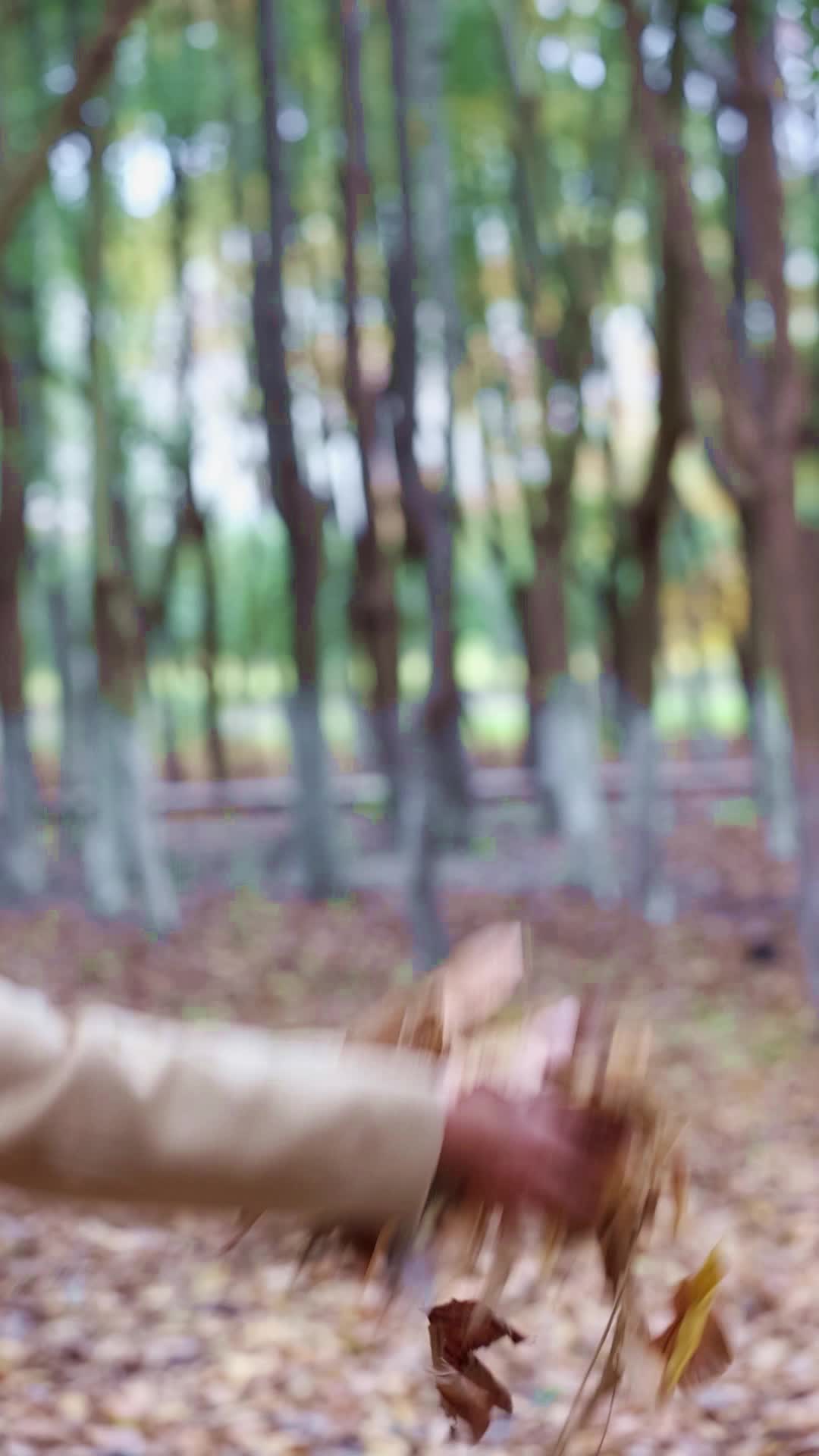 一个女人在秋天树林里将树叶抛向天空视频的预览图