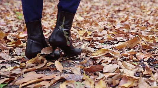 走在秋天满地落叶树林里的女人脚步视频的预览图