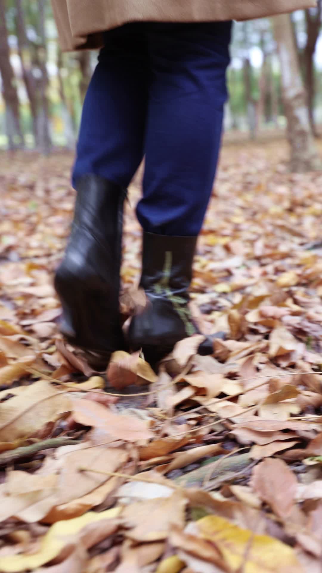 走在秋天满地落叶树林里的女人脚步视频的预览图
