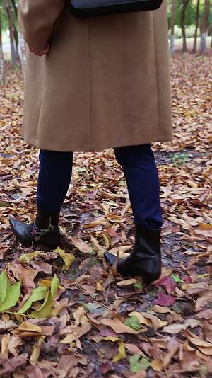 走在秋天满地落叶树林里的女人视频的预览图