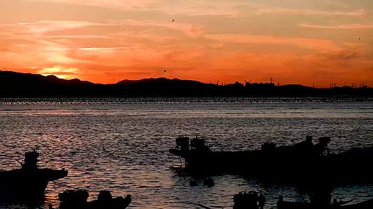 大海夕阳下海鸥渔船剪影视频的预览图
