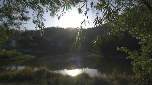 黄昏下的小湖视频的预览图