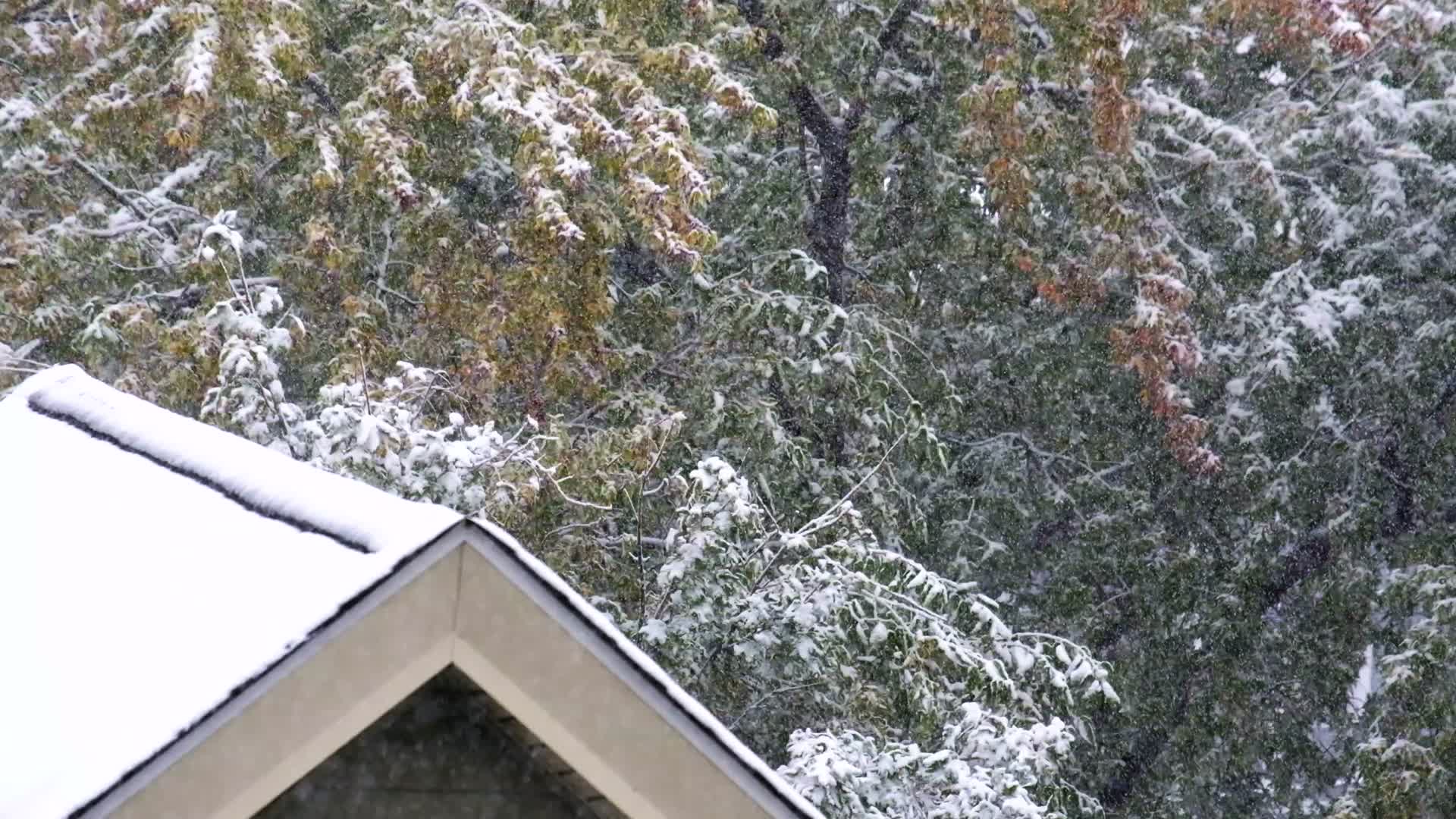 大雪纷飞覆盖房顶视频的预览图