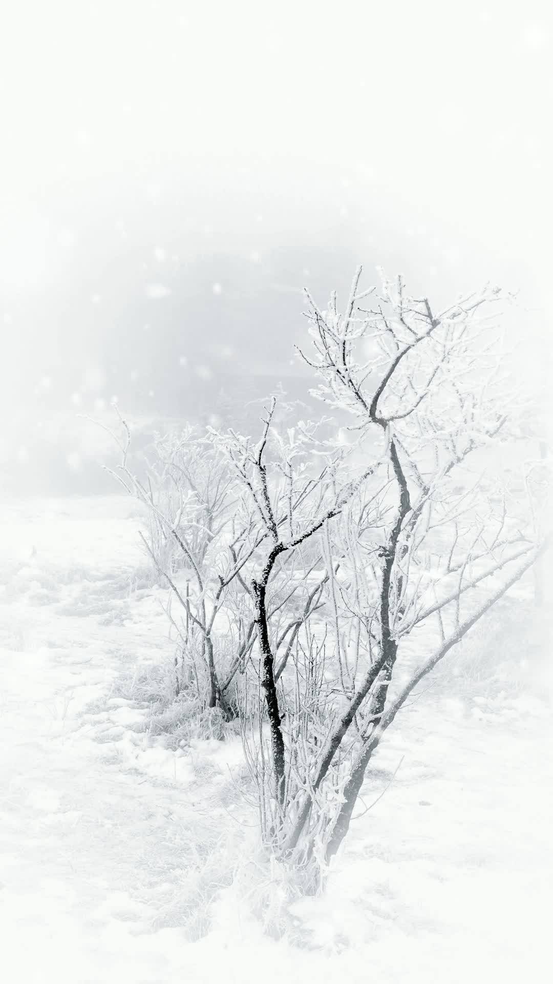 峨眉山金顶竖版大雪纷飞雪景视频的预览图