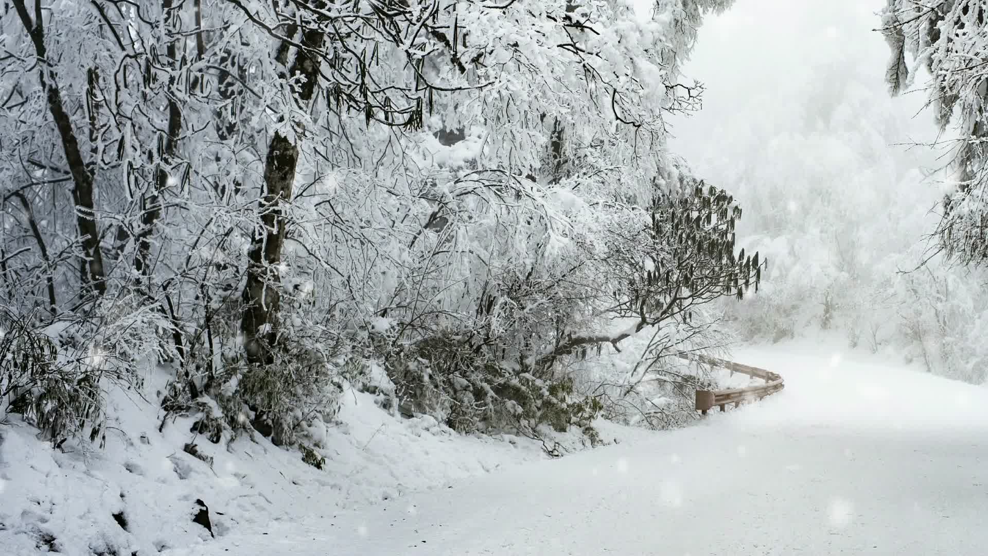 意境公路被大雪覆盖场景视频的预览图