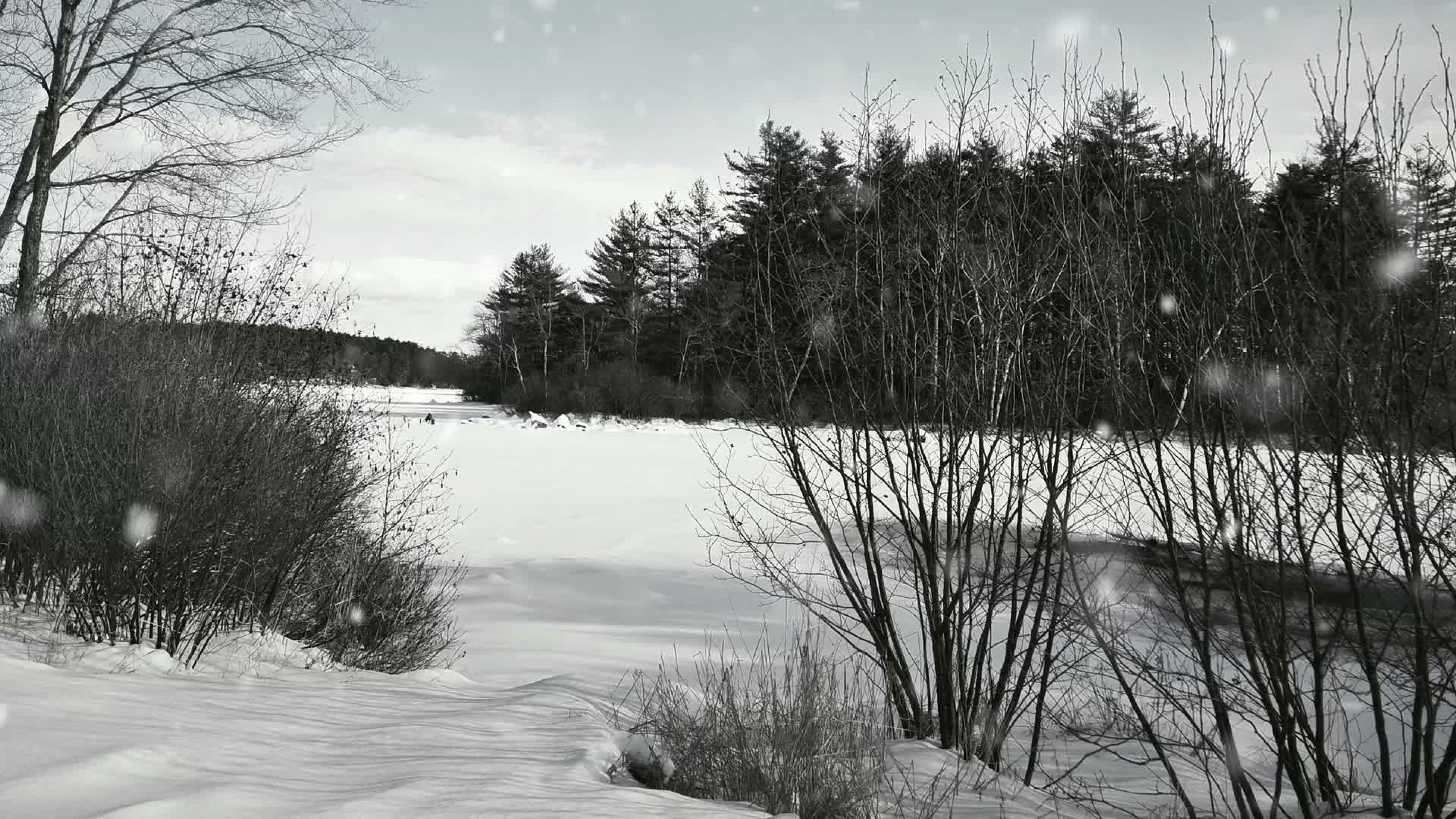 冰封湖泊雪花飞舞的雪景视频的预览图