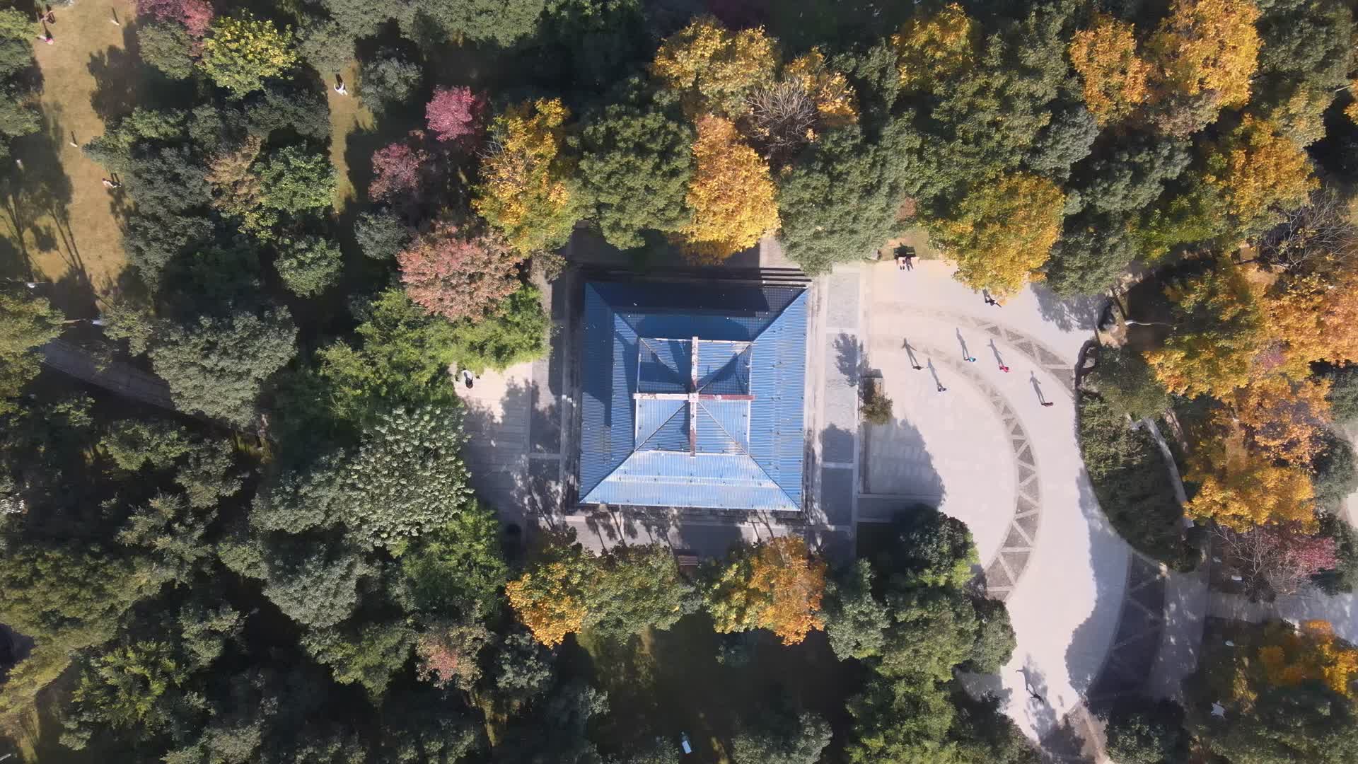 4K航拍温州白鹿洲公园向上拍摄实拍视频视频的预览图