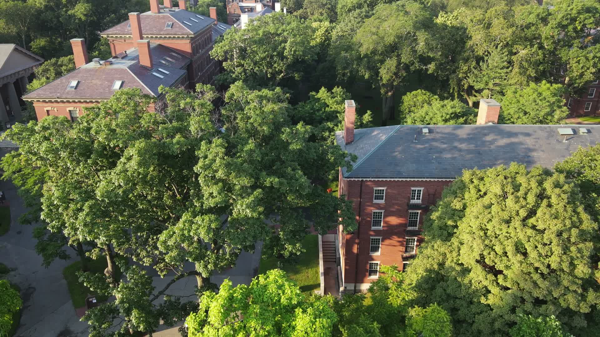 航拍夏季的世界名校哈佛大学校园视频的预览图
