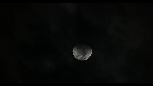 4k高清夜黑风高月亮视频视频的预览图