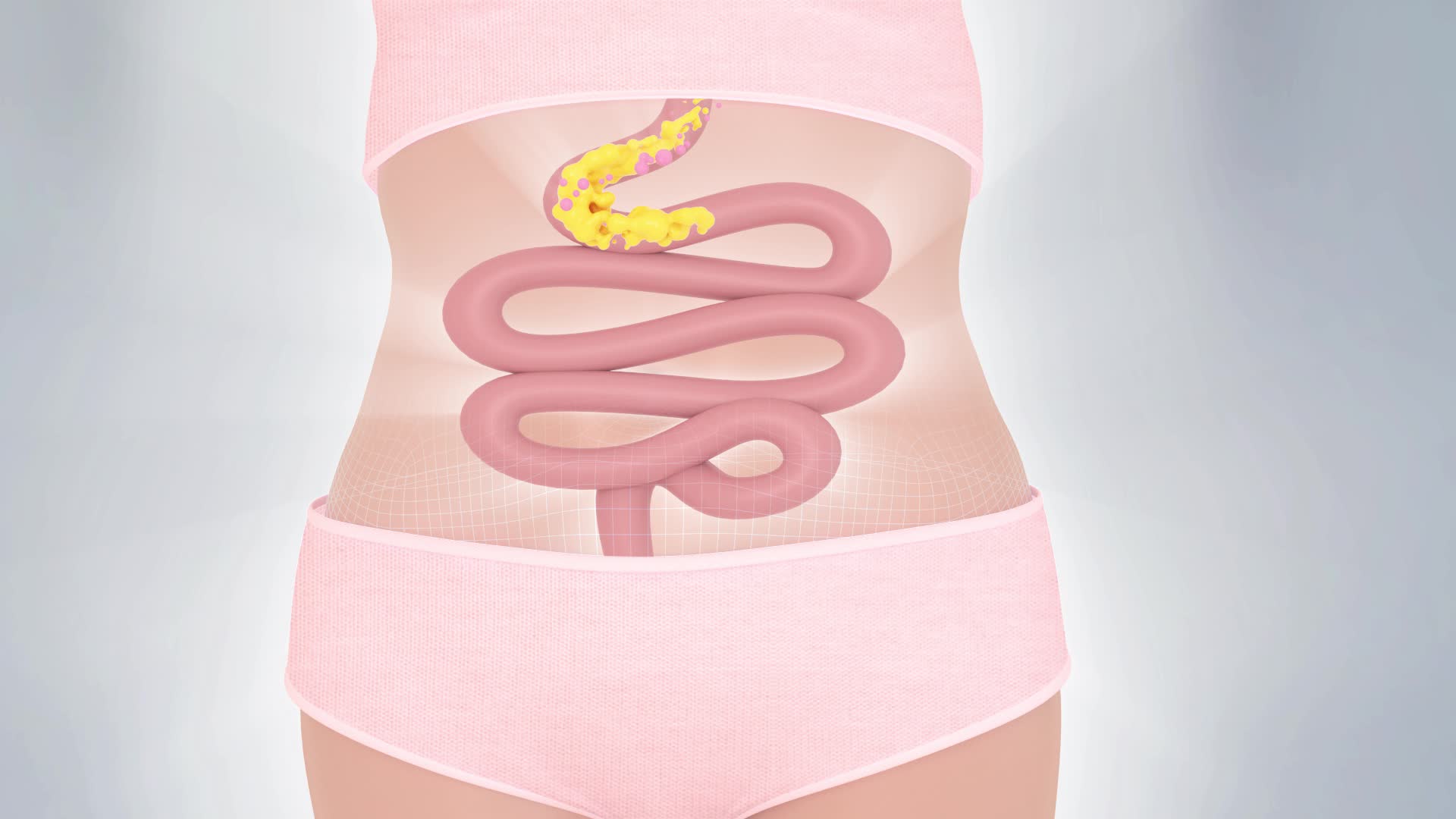 减肥瘦身燃脂肠胃减肥视频的预览图