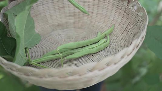 有机蔬菜幸福的生活健康美味视频的预览图