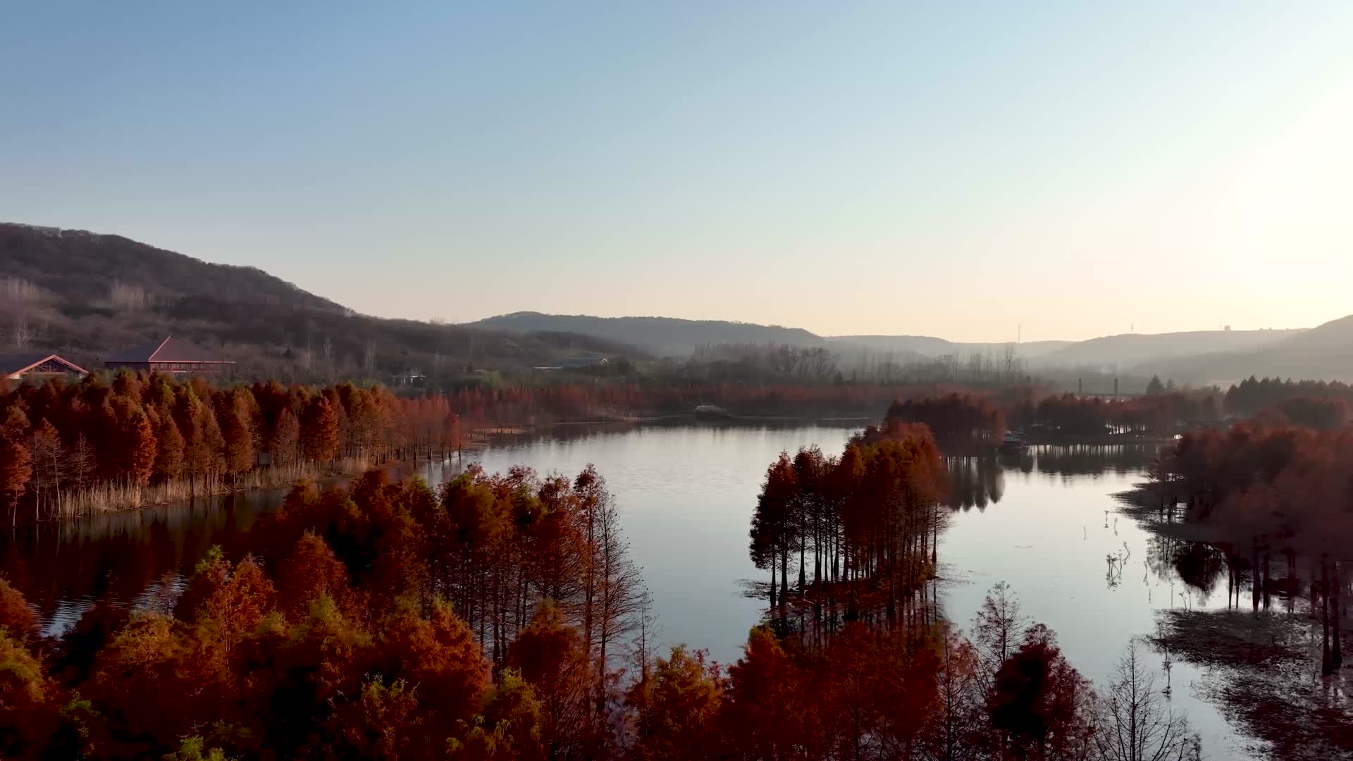 航拍盱眙天泉湖景区红杉树视频的预览图