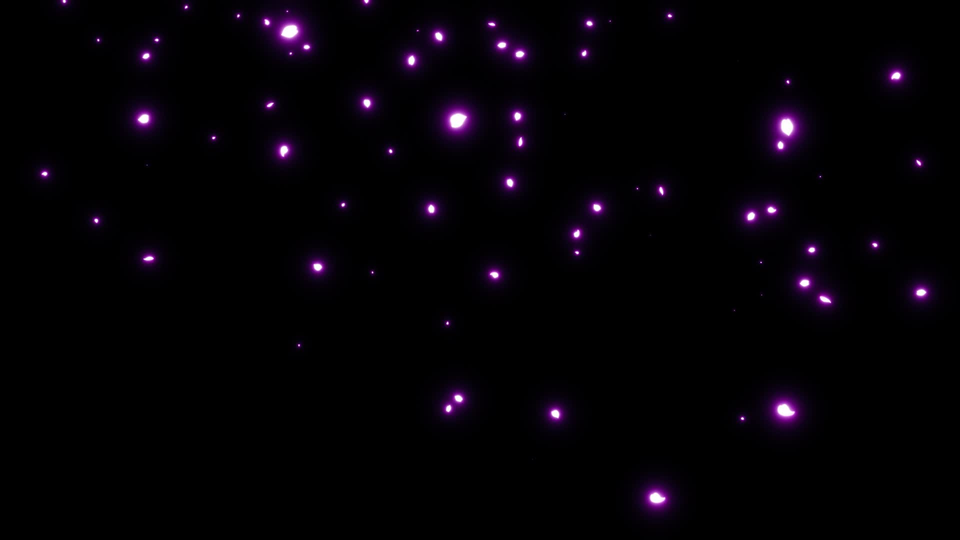 4K粒子光效萤火虫花瓣樱花樱花雨飘落唯美特效粒子粒子元素特效元素AE模板视频的预览图