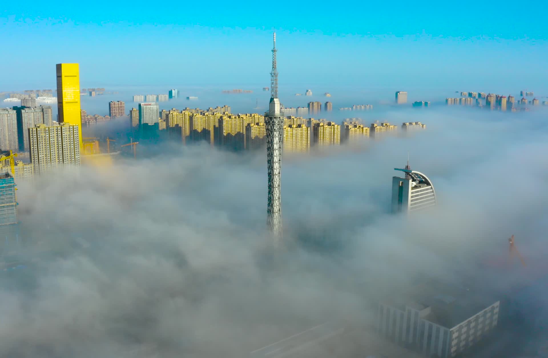 南通海安平流雾视频的预览图
