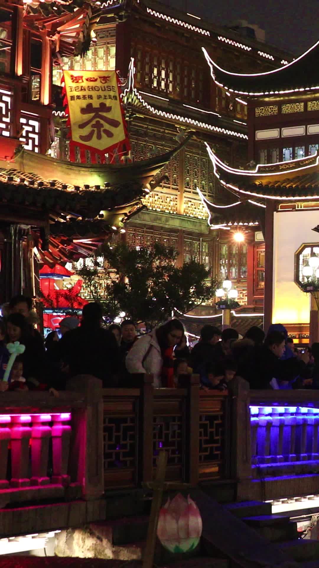 上海豫园街道中国古典建筑夜景视频的预览图