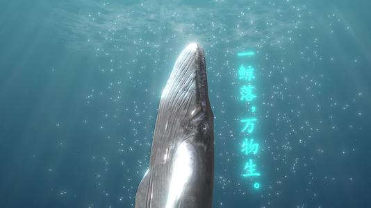 1594K鲸鱼鲸落万物生唯美场景海底舞台舞美发布会背景视频的预览图