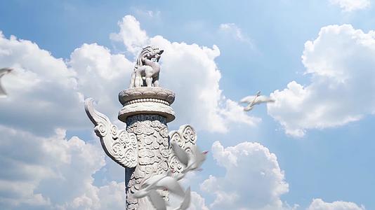 和平鸽飞过中华柱白鸽飞翔鸽子飞过蓝天梦想视频的预览图