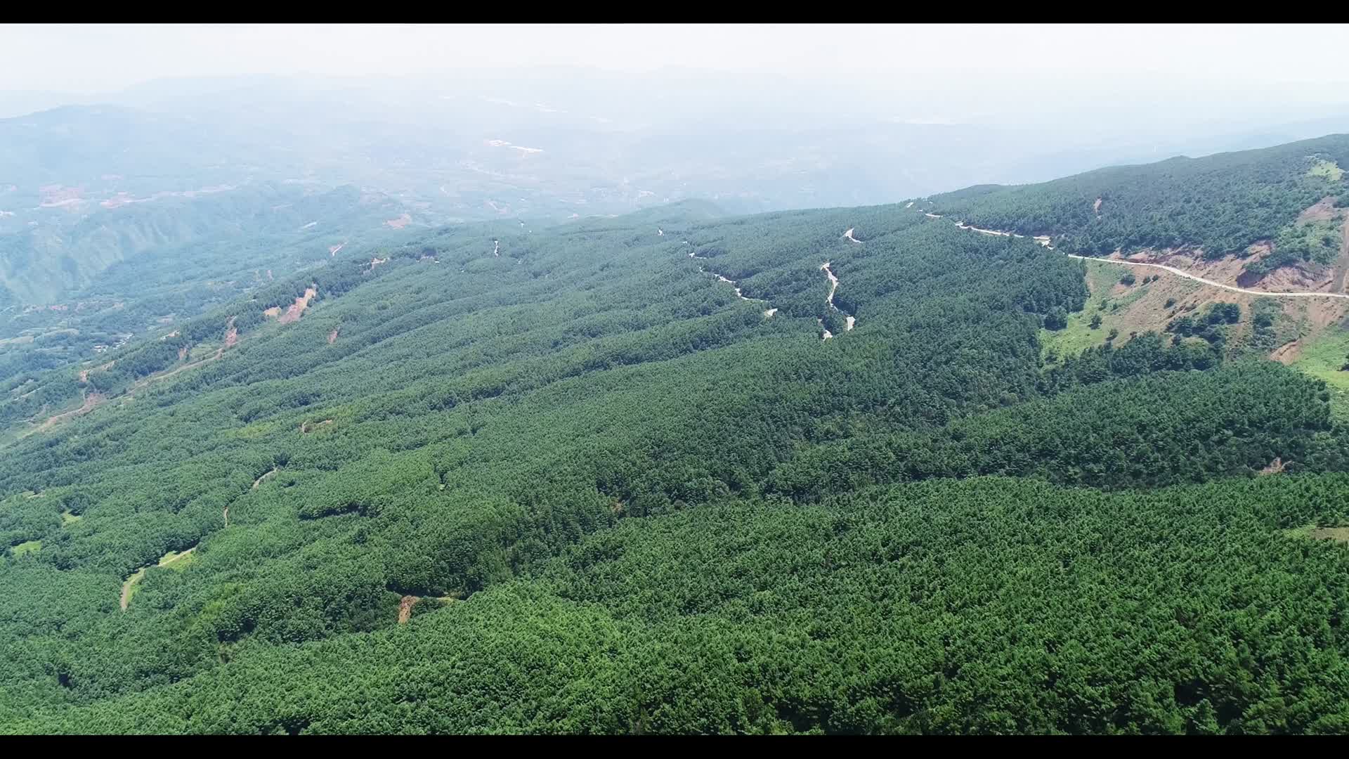 森林公路航拍视频的预览图