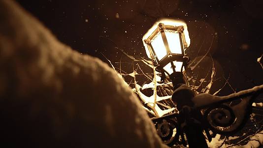 雪夜灯光视频的预览图