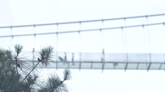 网红景区玻璃桥栈道吊桥跨线桥视频的预览图