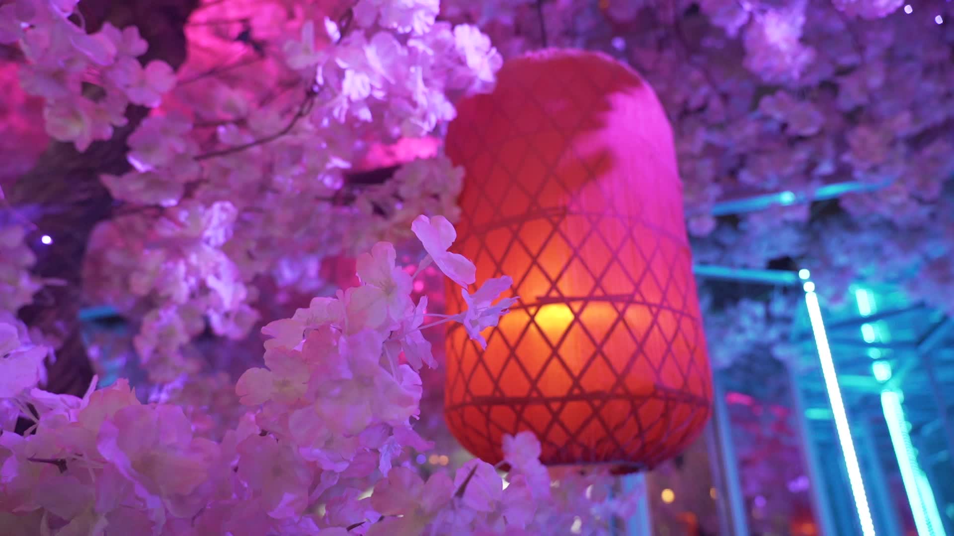 灯笼新年春节年味视频的预览图