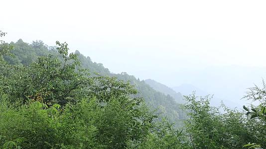 山间下雨风景实拍视频的预览图