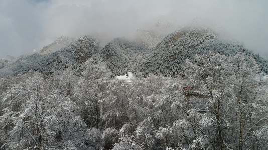 北国雪景视频的预览图