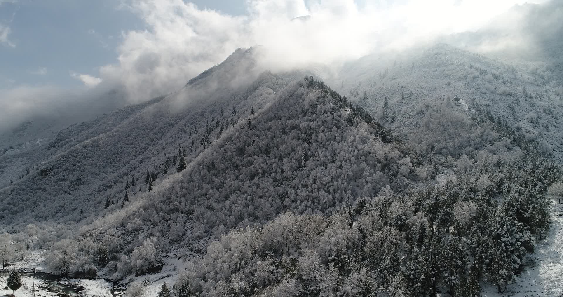 北国风光航拍4K冬季旅游冬季森林雪景视频的预览图