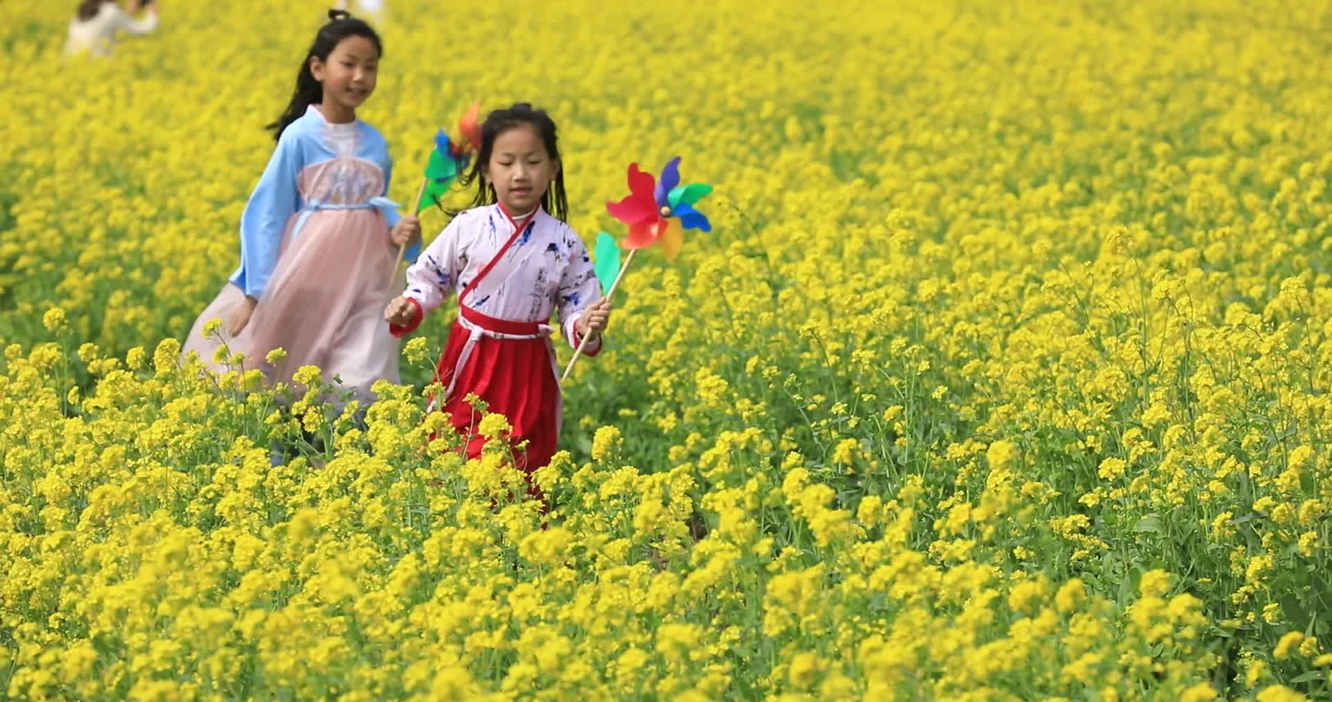 快乐的在油菜花田里奔跑小女孩们视频的预览图