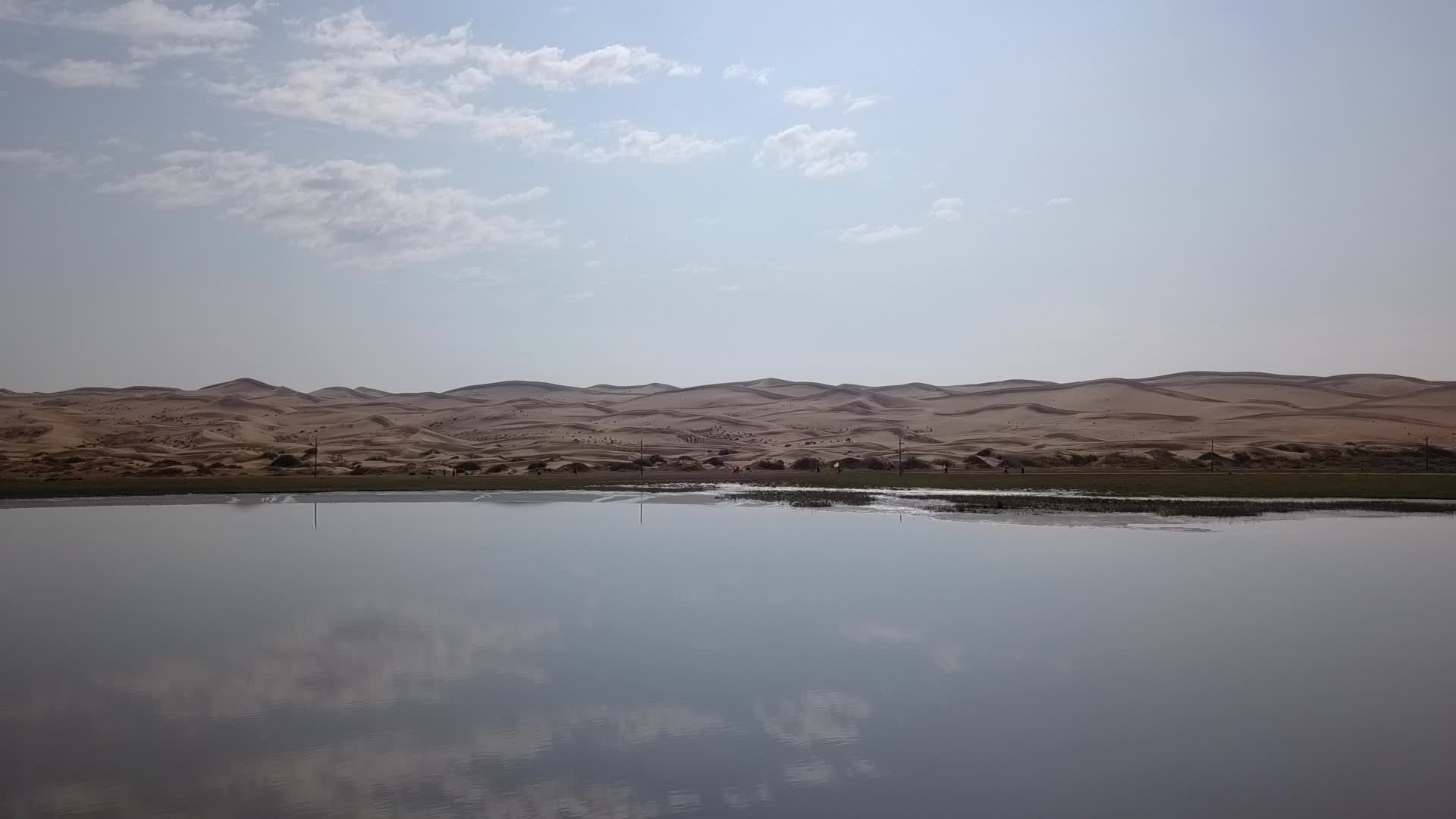 沙漠绿洲视频的预览图