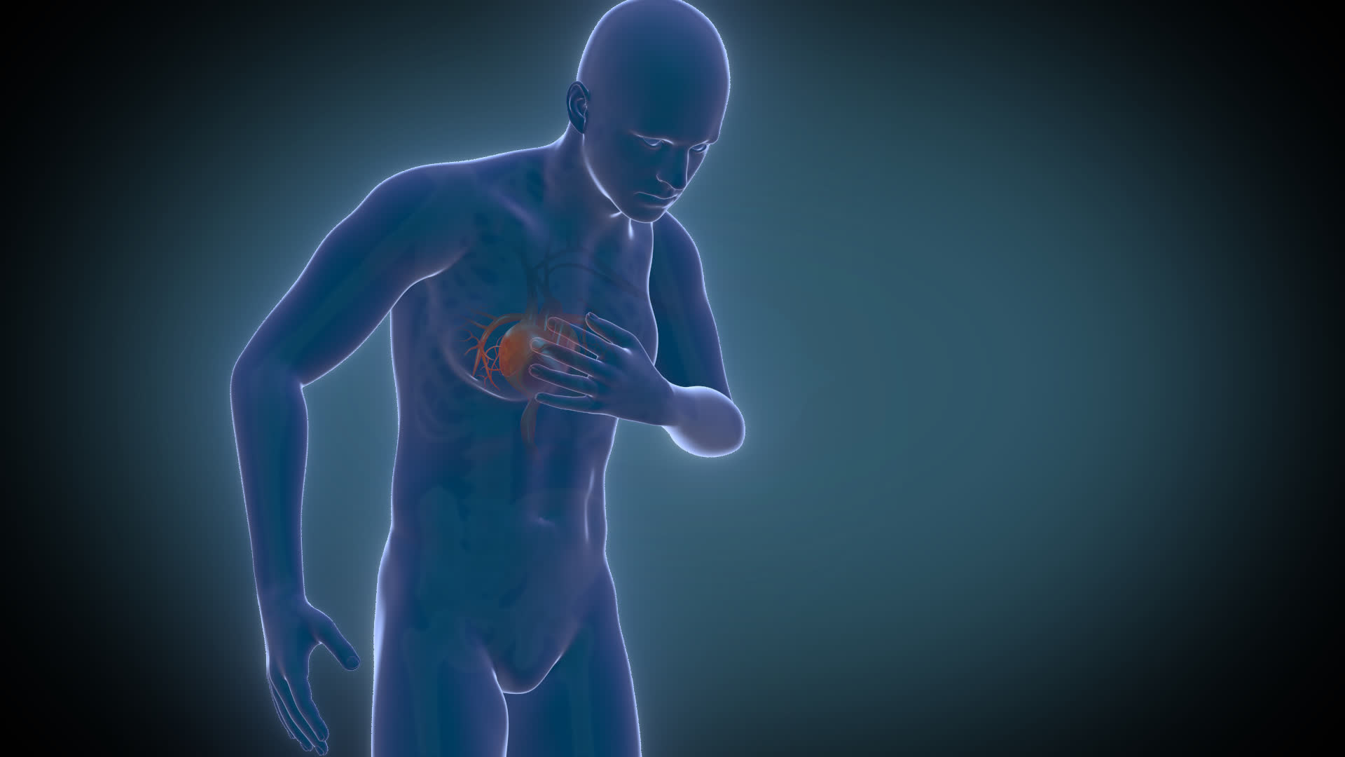 三维动画心脏跳动心脏病视频的预览图