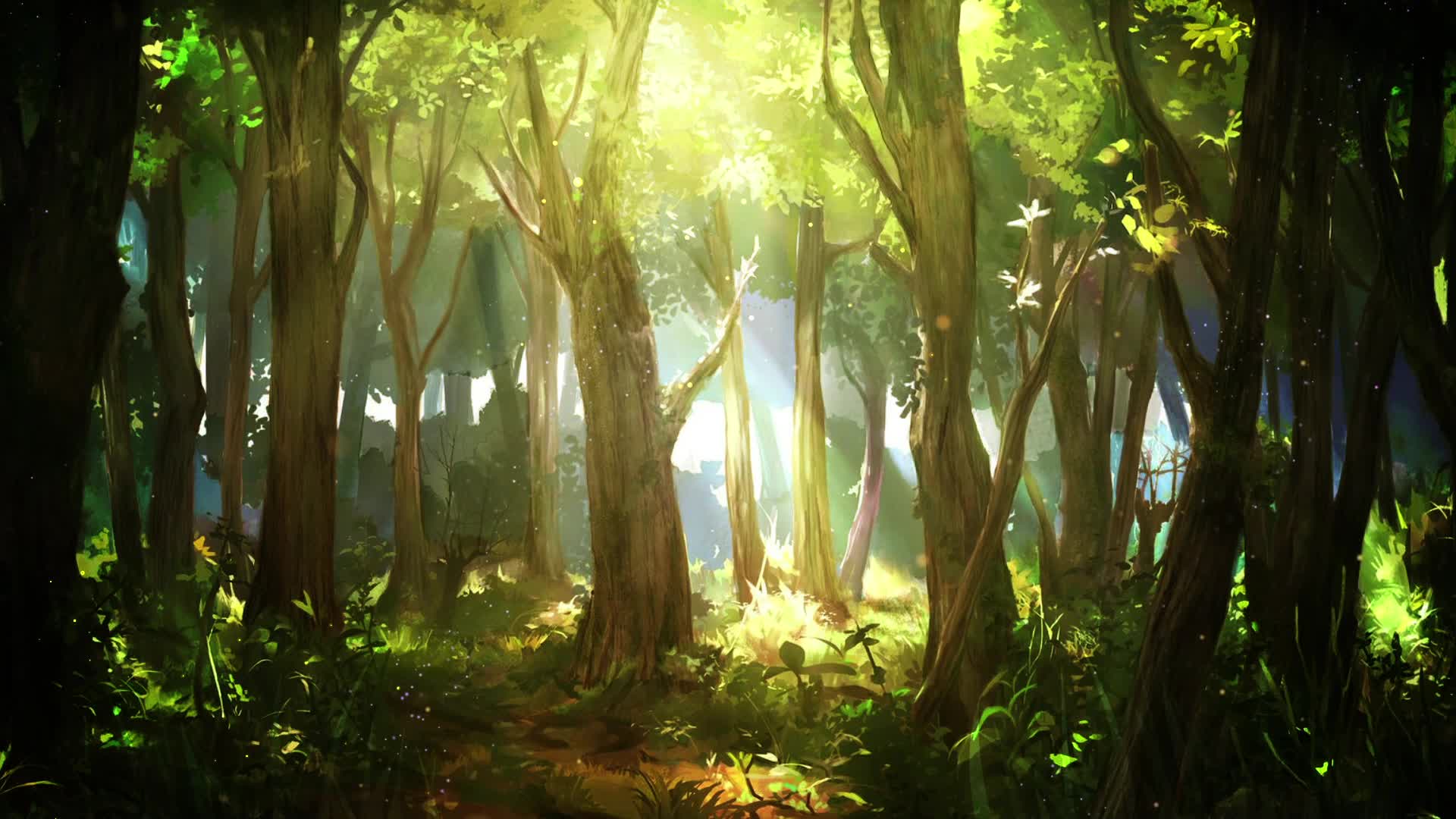 卡通森林树林视频的预览图