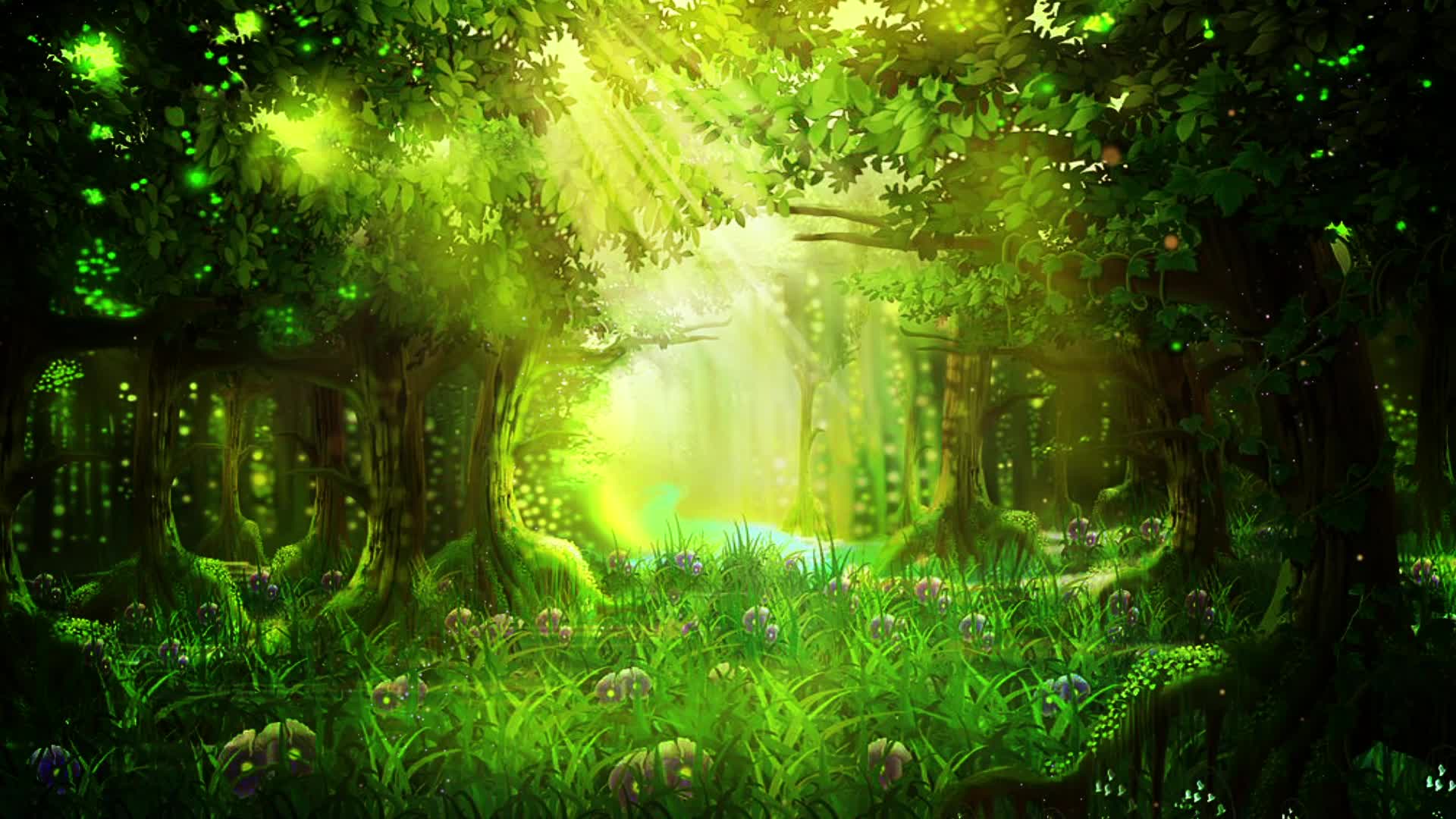 卡通阳光照射树林视频的预览图