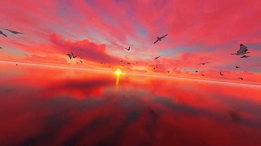 朝阳晨光中海面上飞翔的海鸥视频的预览图