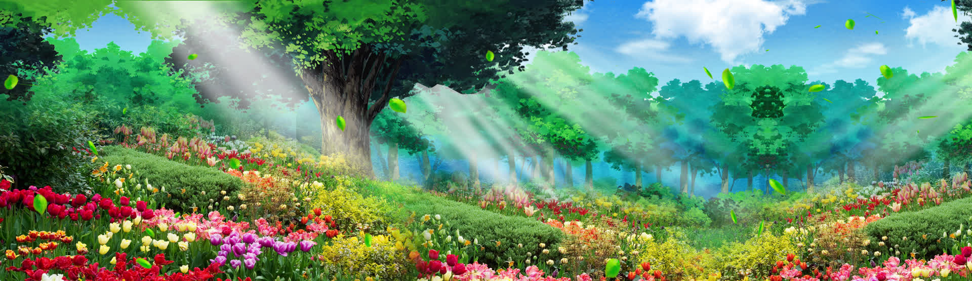 森林落叶沐浴阳光大屏背景视频的预览图