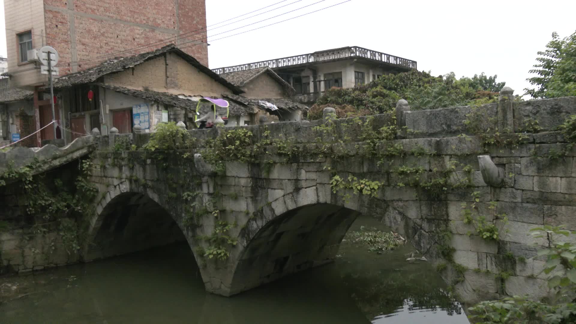 宾阳南桥遗产视频的预览图