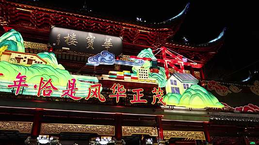 上海豫园虎年春节花灯灯会视频的预览图