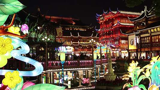 上海豫园虎年春节花灯灯会视频的预览图