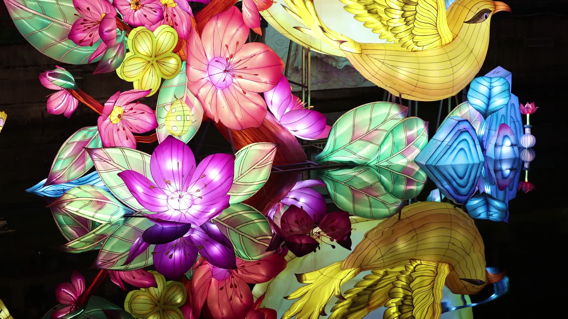 上海豫园虎年春节花灯灯会倒影视频的预览图