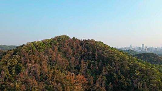 白云山广州大景视频的预览图