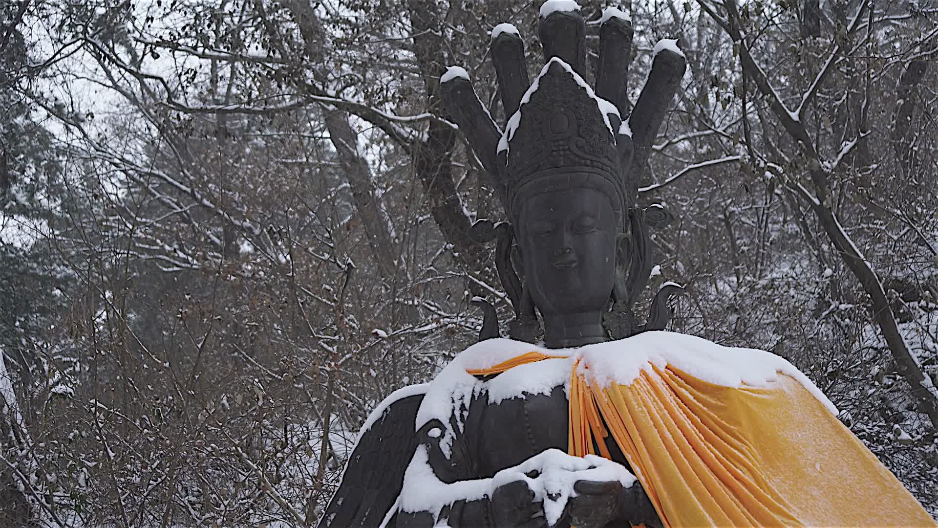 风雪龙树菩萨像视频的预览图
