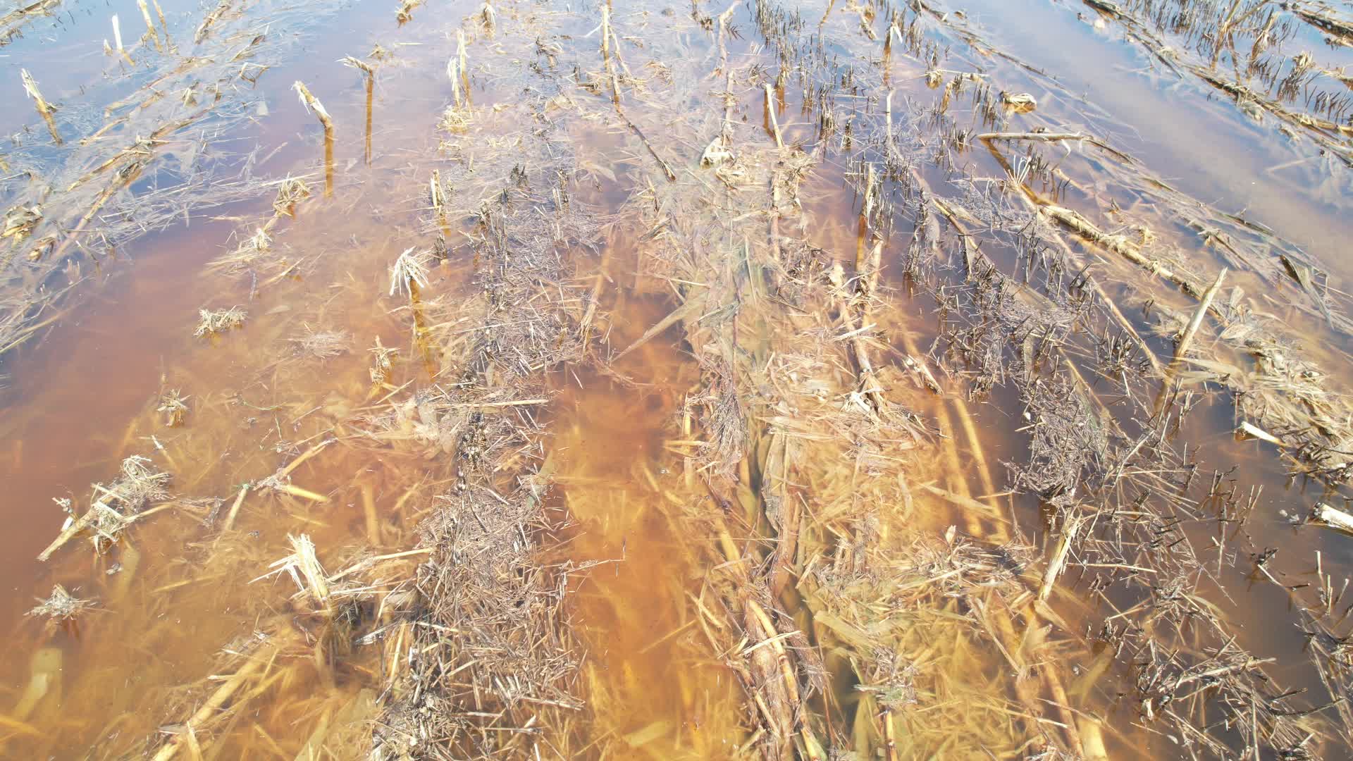 农田积水受灾视频的预览图